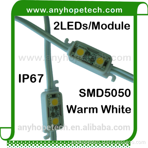 New Promotion outdoor 2leds/pcs 0.48w/pcs led module for advertising light box